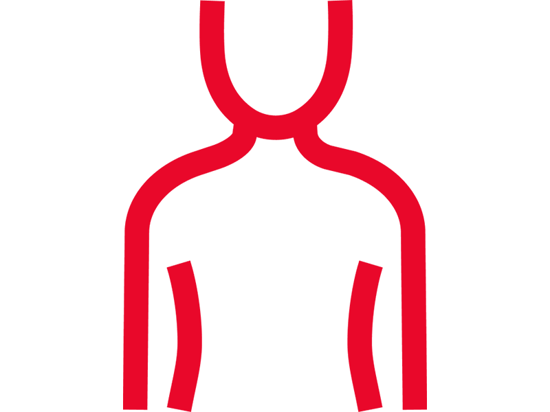 Body